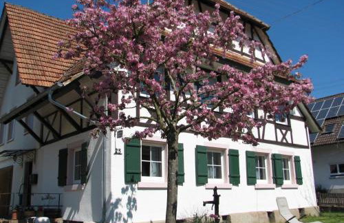 Alte Schmiede - Foto 38