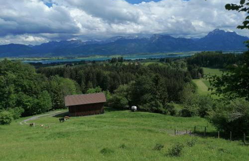 Ferienwohnung Allgäuflair - Foto 12