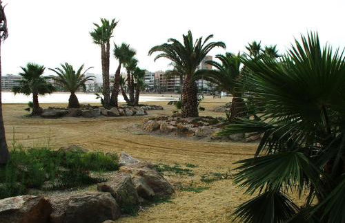 Alojamiento Oasis Playa - Foto 38