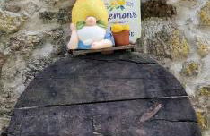 Casa da Fonte - Foto 23