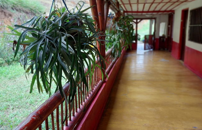 Finca La Macarena by Welttisch - Photo 29