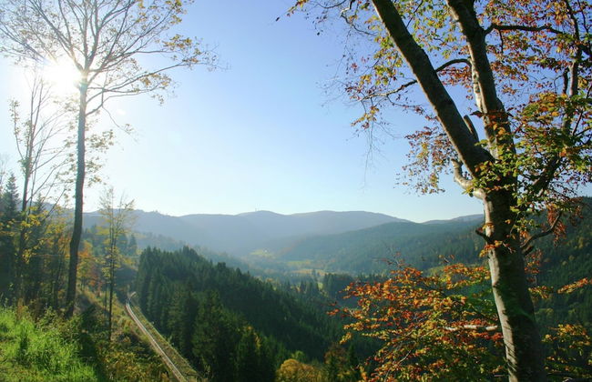 Ferienwohnung im Schwarzwald mit Garten - Foto 39
