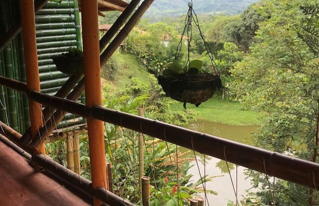 Ecocabañas Pereira - Foto 13