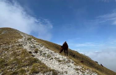 Casa Vacanze Emily nel parco del Monte Cucco - Foto 26