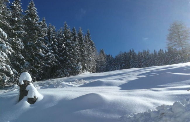 Webertonihutte Modern Retreat - Foto 14