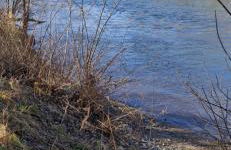 Ferienwohnung Halle/Lettin - Foto 12