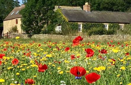 Swallows’ Barn - Photo 11