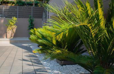 Davi Apartments - Foto 14