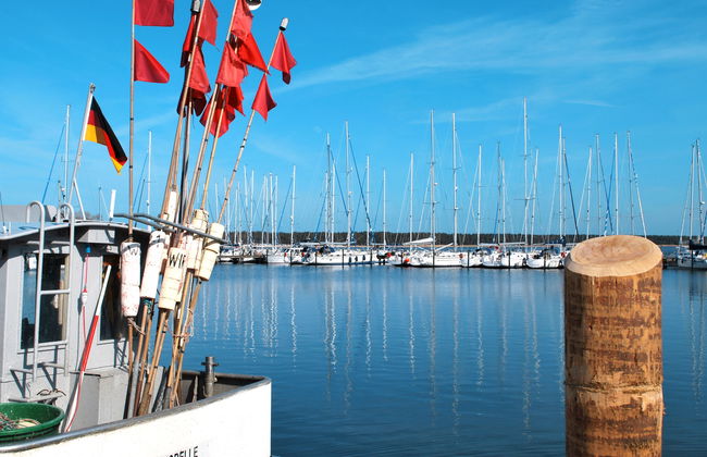 Tribbevitz - Foto 16