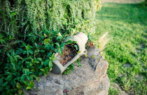 Limora' Tenuta Millaci - Foto 8