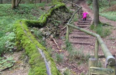 Domus Limes, RuheOase am Schloss - Foto 44