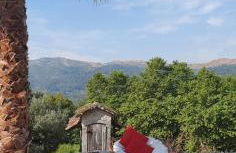 Villas da Quintã - Foto 6