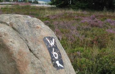 Ferienwohnung Haus Kloosterman - Photo 15