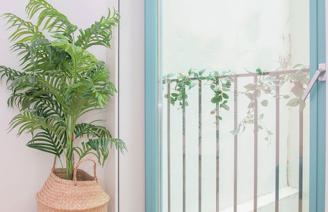 Liiiving in Porto - Boho Blue Home - Foto 8