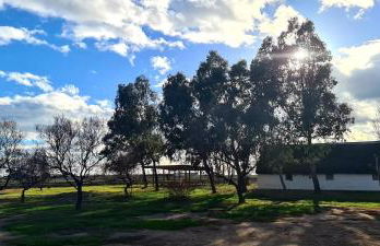 Can Carles - Delta del Ebro - Foto 68