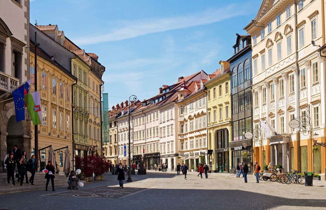 Private Tour of Ljubljana - Photo 10