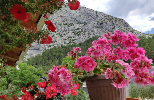 Apartment Bajama - Photo 23