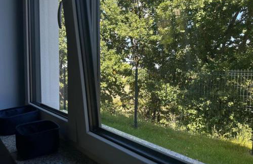 Willa Daisy - Foto 45