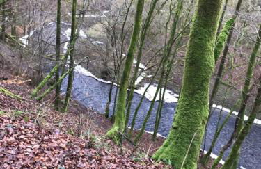 Urlaub an der Baybachklamm - Foto 20