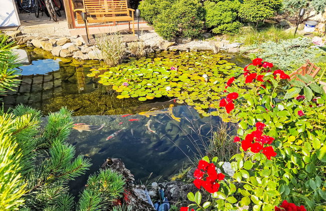 Vrbová Lhota U Aničky - Foto 8