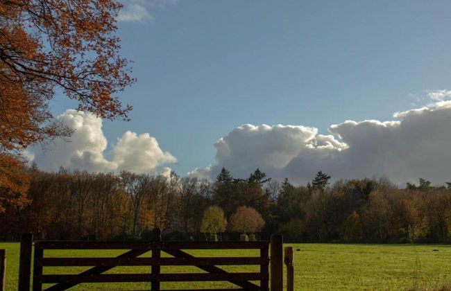 Luxury Home in Gedinne With Bubble Bath and Sauna - Foto 38