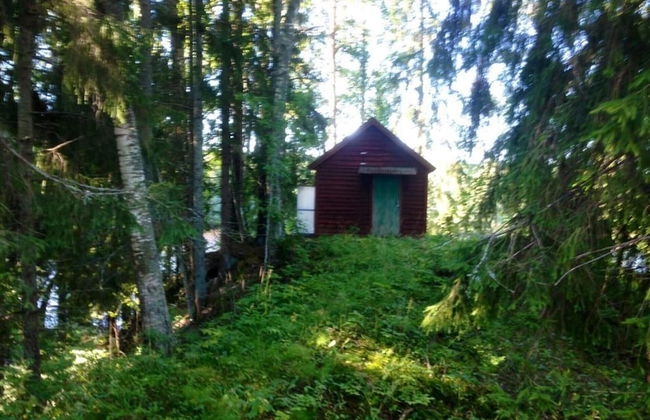 Tiny hut in the Forest Overlooking the River - Photo 34