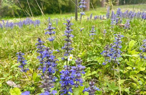 Villa Riviera by the Sea - Foto 22