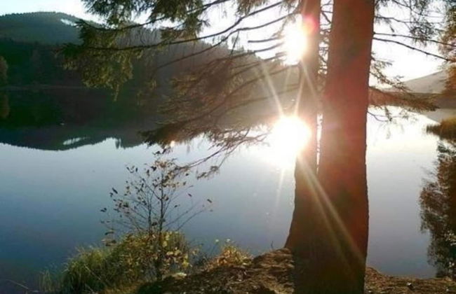 Ferienwohnung in Kamschlacken - Foto 28