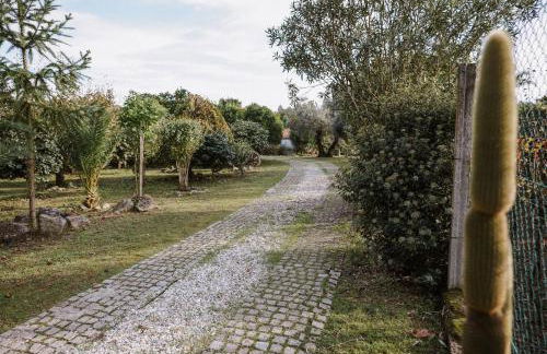 Casa Rural Oliveira do Bairro - Foto 41