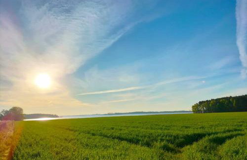 Ferienhaus Mila 70qm bis 5 Gäste mit Fass-Sauna, Whirlpool April bis Oktober, 75qm Terrasse und eingezäunten Garten Haustiere willkommen - Photo 46