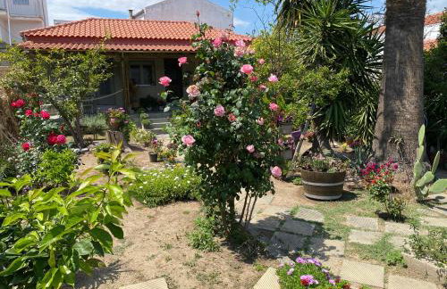 Λευκό γιασεμί - Photo 1