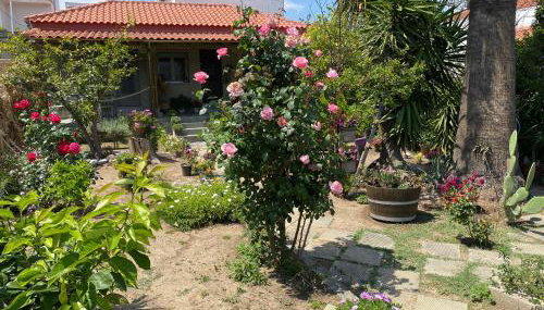 Λευκό γιασεμί - Photo 1