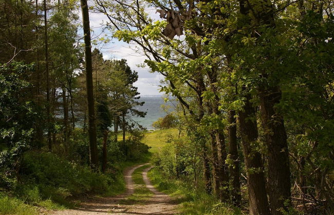 16 Person Holiday Home in Vejby - Foto 7