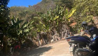 Cantinho verde - Foto 3