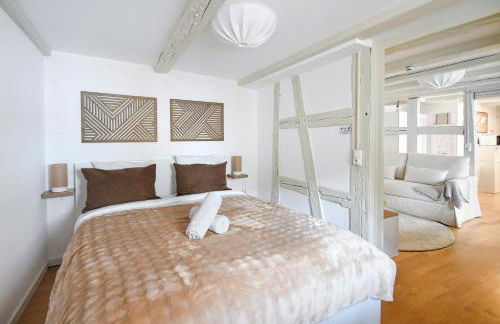 Cigogne Dorée - Strasbourg Centre Historique - Photo 26