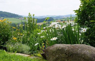 Ferienwohnung Lankl im Bayerischen Wald - Foto 28