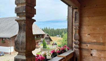 Helle gemütliche Ferienwohnung in Schwarzwaldhof - Foto 4, Garden view