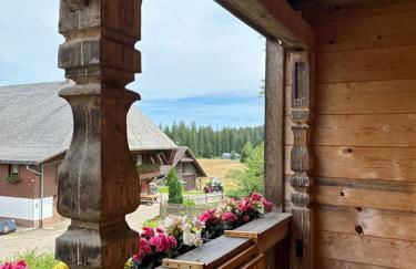 Helle gemütliche Ferienwohnung in Schwarzwaldhof - Foto 4