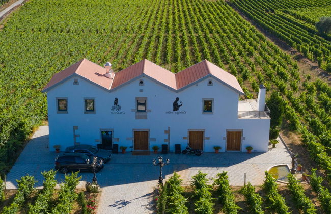Visita a la bodega Quinta da Avessada - Photo 1