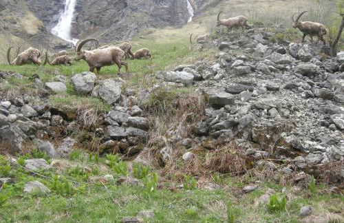 Gîte Les Grands Champs - Foto 60