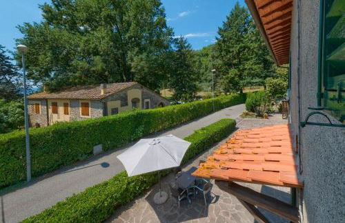 L'aia dì Trippa all'Aria Mugello - Foto 30