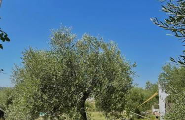 bungalow entre mer et montagne - Foto 31