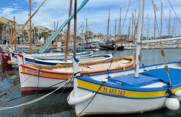 appartement rez de villa proche port et plages de Sanary - Foto 42