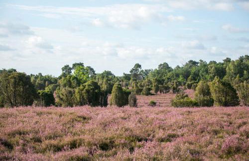 MCDreyer Ferienwohnung - Foto 54