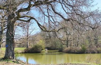 Gîte à la campagne Les Grandes Maisons Espace jacuzzi hammam SPA - Photo 31