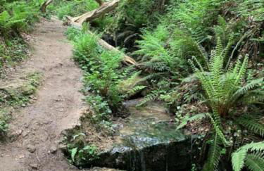 Shangri la at Beauport - Foto 32