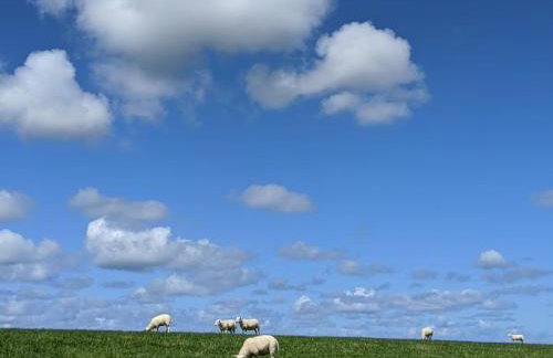 Ferienwohnung Boven - Foto 24