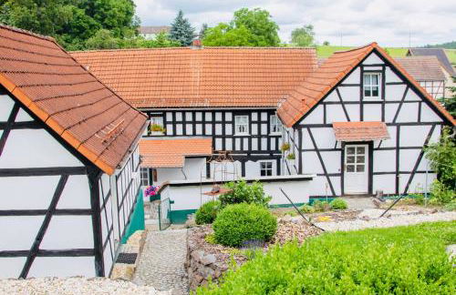 Thüringer Tannenhof Ferienwohnungen - Foto 6