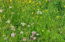 Appt à Ancelle pied des pistes - Foto 41