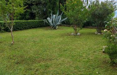 The Best View - Photo 22